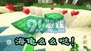 《我的世界》海龟蛋孵化攻略教程