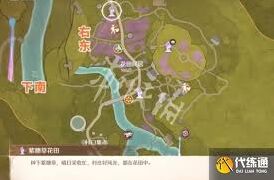 无限暖暖美美紫花海位置与探索方法