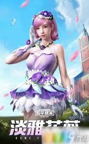 和平精英淡雅花蕊获取途径有哪些