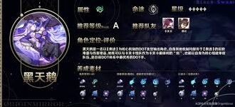 崩坏星穹铁道黑天鹅养成技巧教程