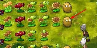 植物大战僵尸融合版坚果投手完全指南