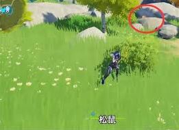 原神松鼠常见位置汇总