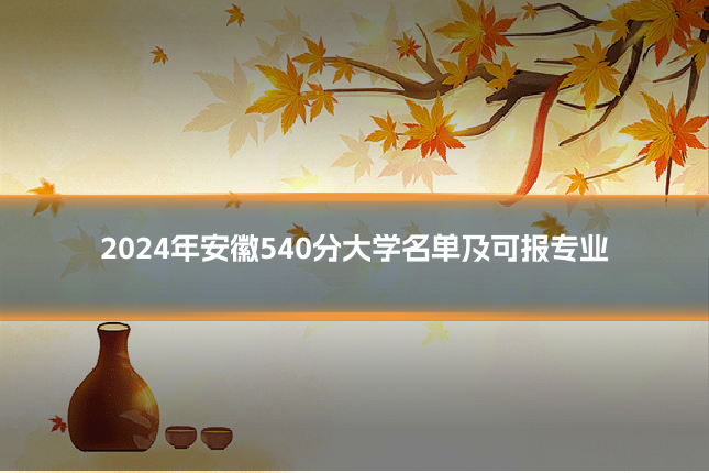 2024年安徽540分大学名单及可报专业