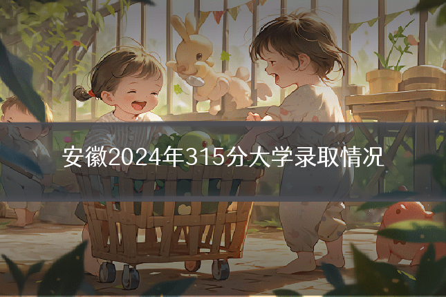 安徽2024年315分大学录取情况